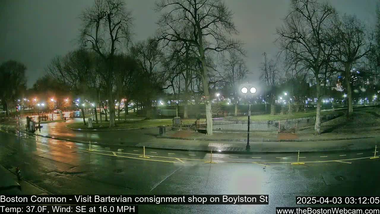 A wet, nighttime view of a park with sparsely leafed trees, streetlights, and a roadway, under a cloudy sky.
