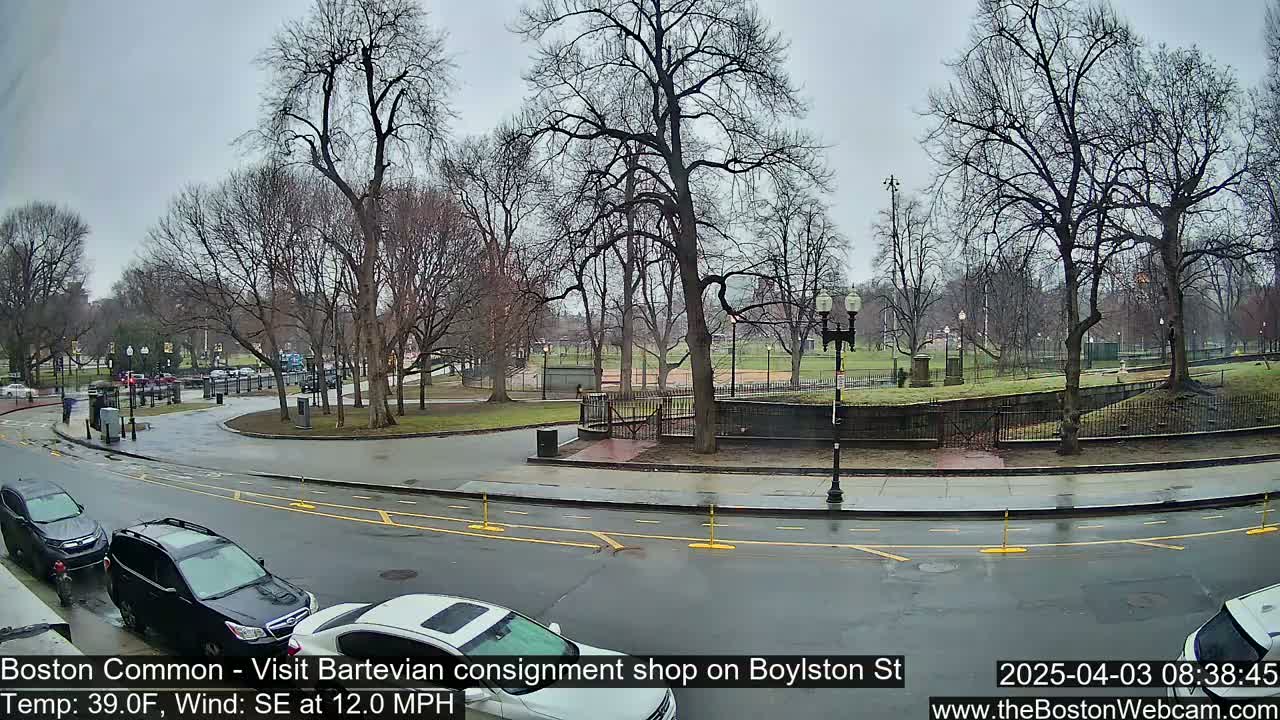 A wet, overcast day in a city park with bare trees, a road with parked cars, and a person walking in the distance.