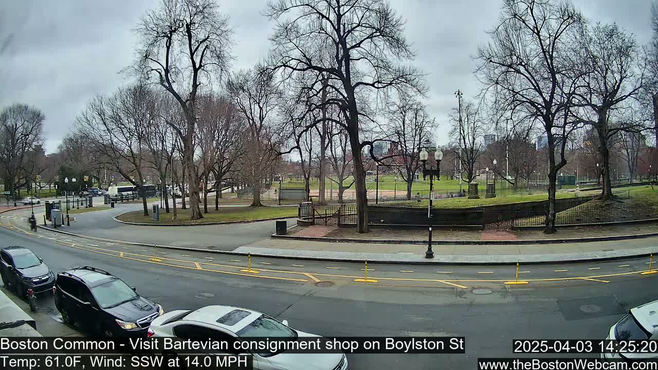 A partly cloudy day reveals a city park with bare trees, a roadway with parked cars, and a pedestrian path curving through the scene.