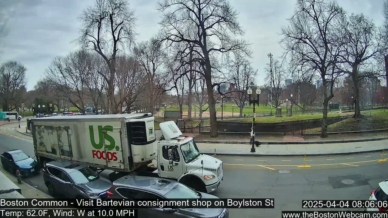 A US Foods refrigerated truck is parked on a city street next to a park under an overcast sky.