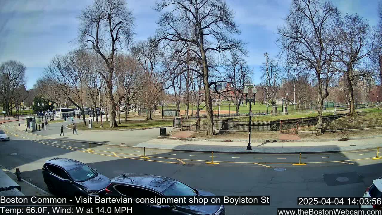 A sunny, partly cloudy day in a park with bare trees, a few people walking, and cars parked along a street.
