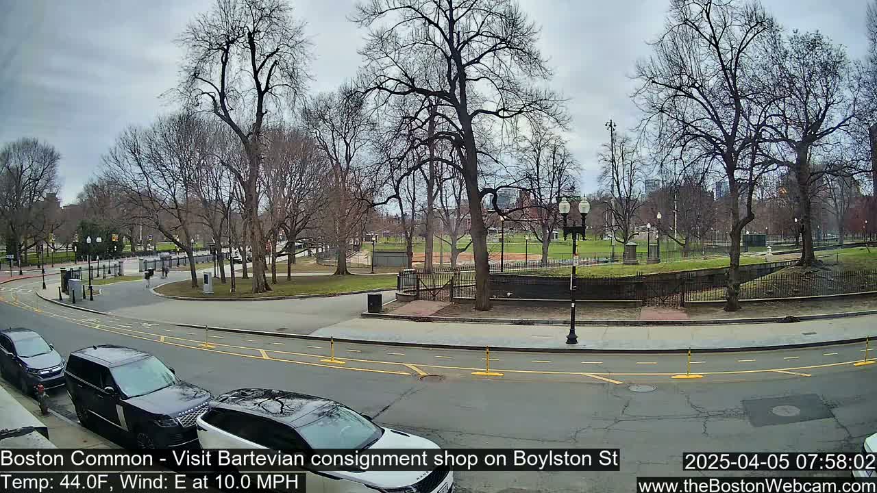A mostly overcast day shows a park with bare trees, a paved path curving through it, and several cars parked along a street.