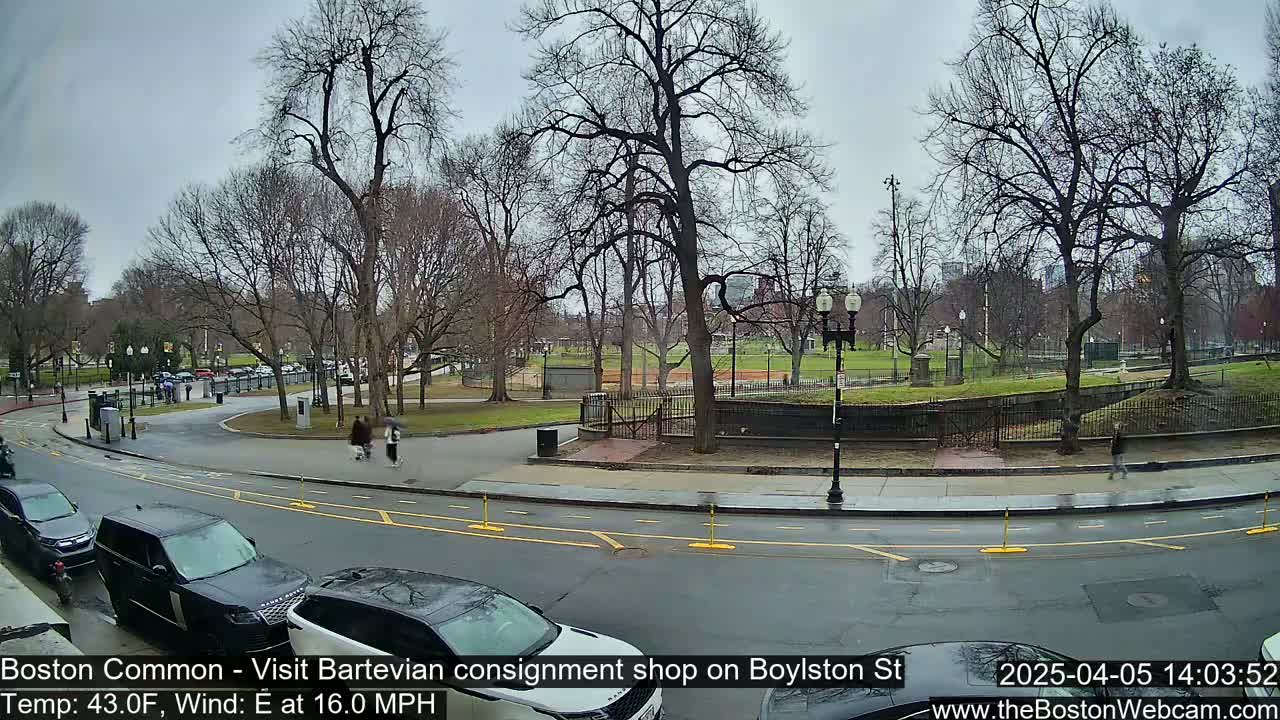 A view of a park with bare trees on an overcast day, with several cars parked along a street in the foreground.