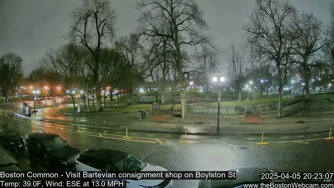A wet, nighttime view of a park with bare trees and streetlights, and cars parked along a roadway.