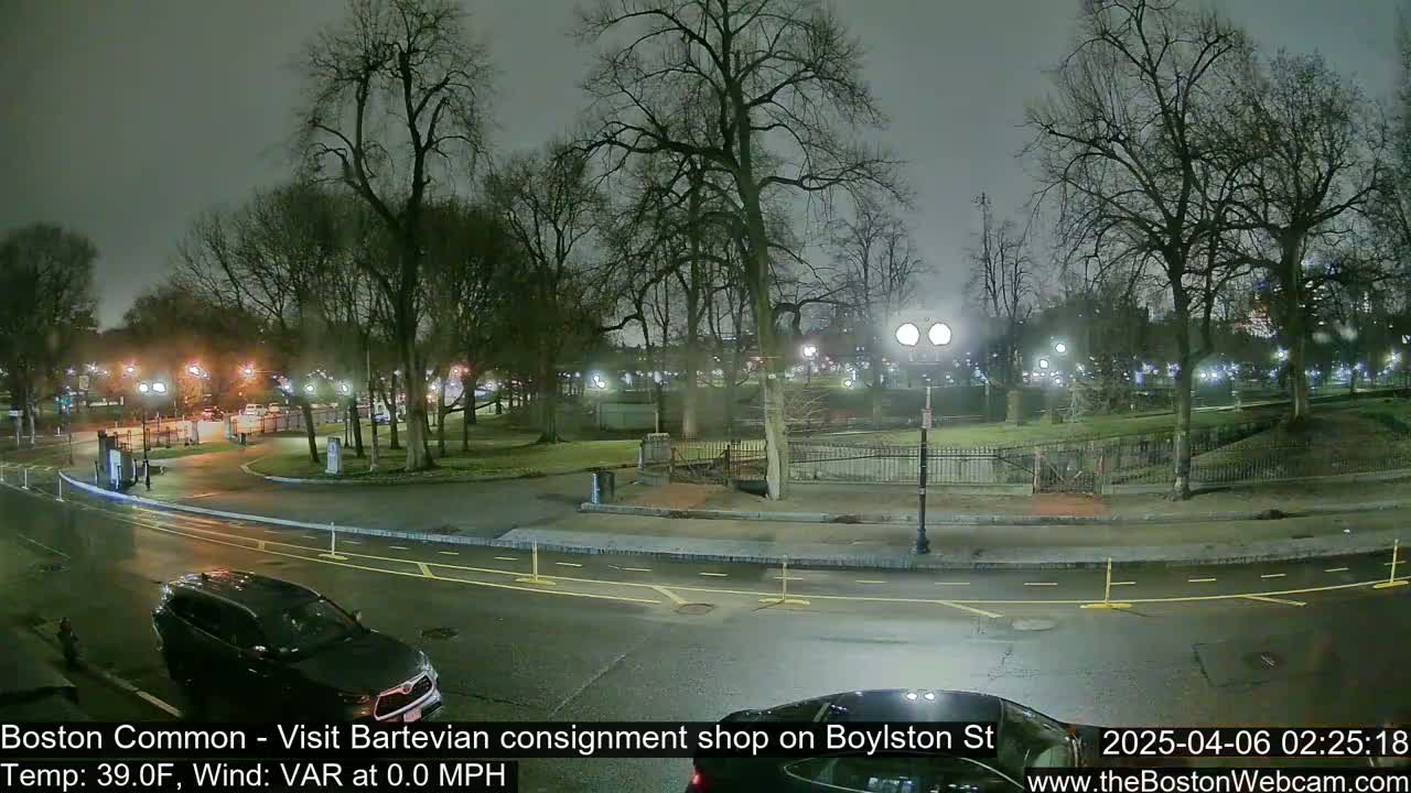 A nighttime view of a park with wet roads and a few cars, under a cloudy sky.