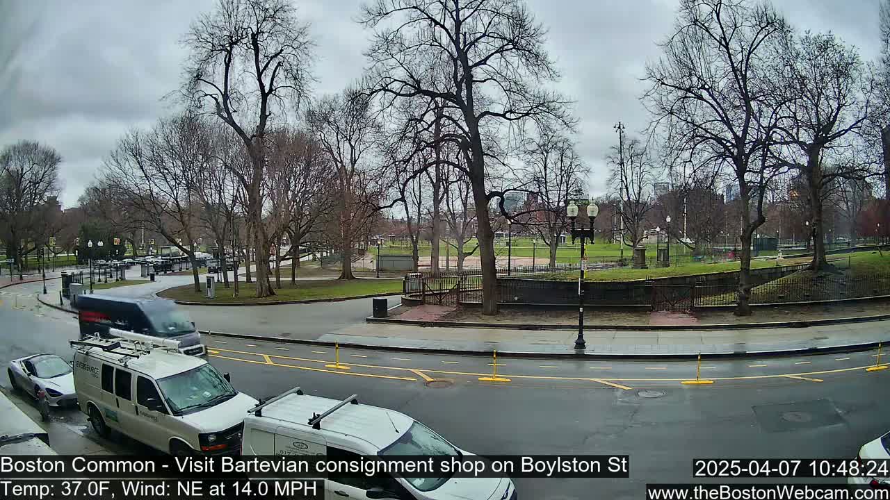 A street scene shows a park with bare trees, several vehicles, and a wet road under an overcast sky.