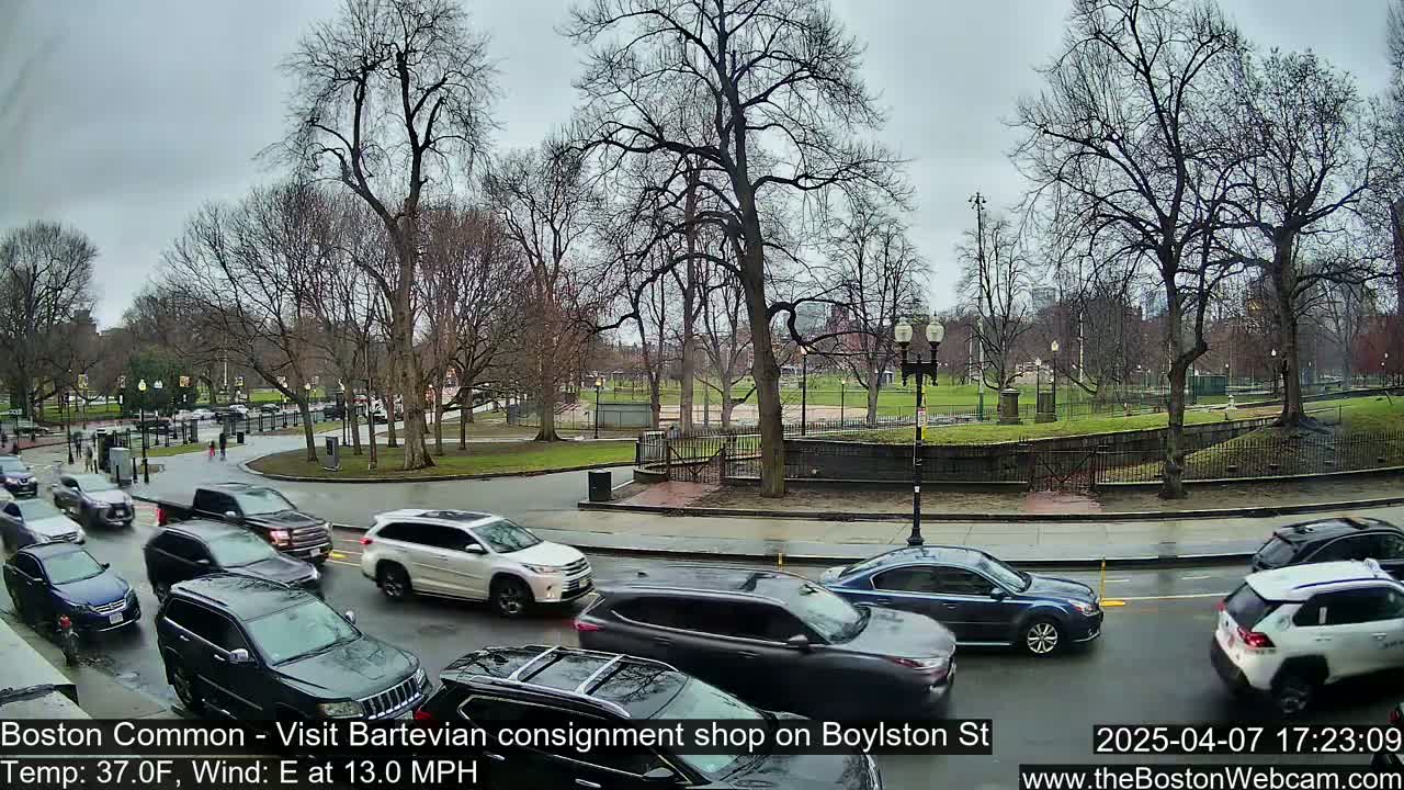 A wet city street scene shows several cars driving past a park with bare trees under a cloudy sky.