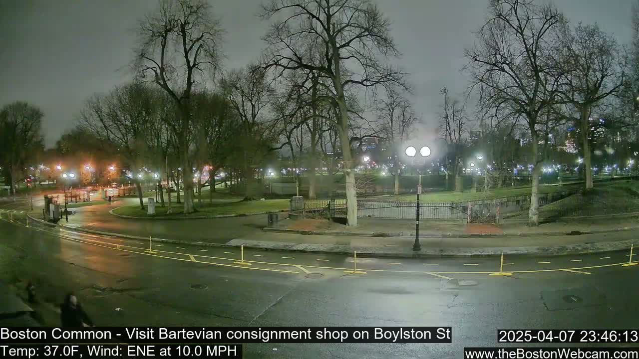 A nighttime view of a park with bare trees and wet pavement, illuminated by streetlights under a cloudy sky.