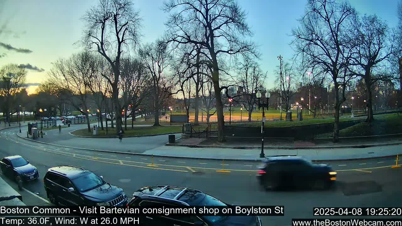 A twilight view of a park with bare trees, cars driving on a road, and a partly cloudy sky.