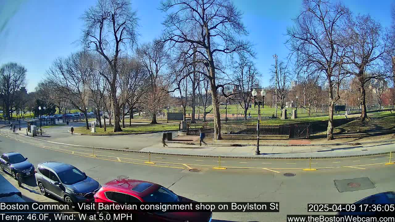 A sunny day shows a park with bare trees, a roadway with parked cars, and a few pedestrians near a street corner.