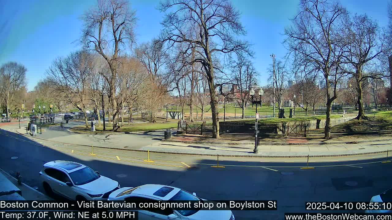 A sunny, clear day reveals a park with bare trees, and two cars parked on a street next to it.