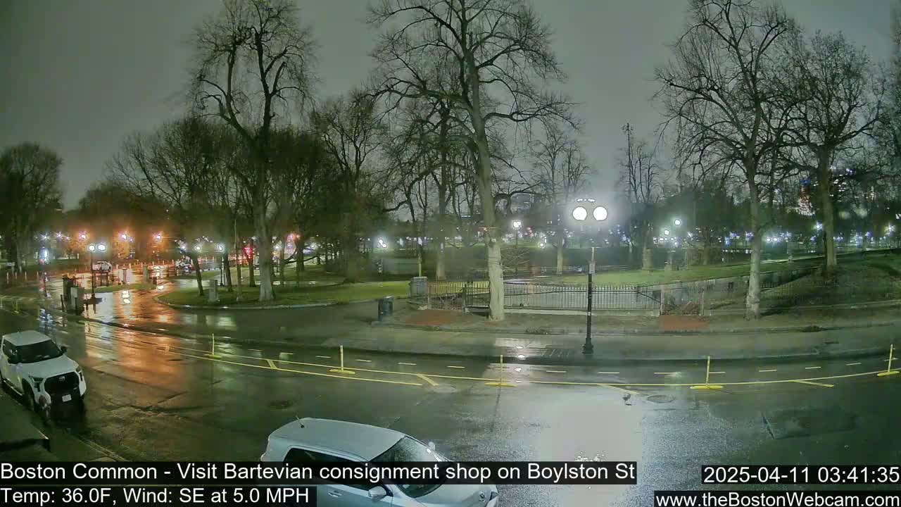 A wet, nighttime street scene shows a park with bare trees and streetlights, with a few cars visible on a rain-slicked road.