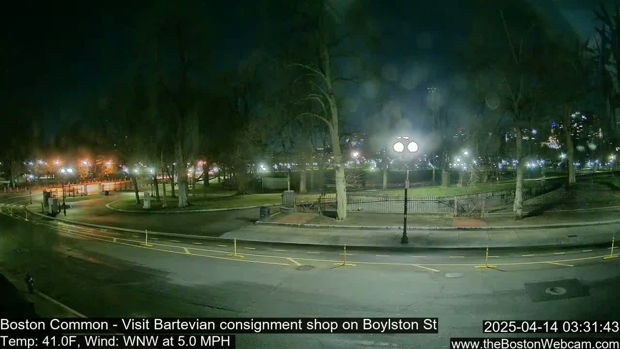 A nighttime view of a park with lamp-lit pathways and trees, under a slightly overcast sky, shows a wet road in the foreground.
