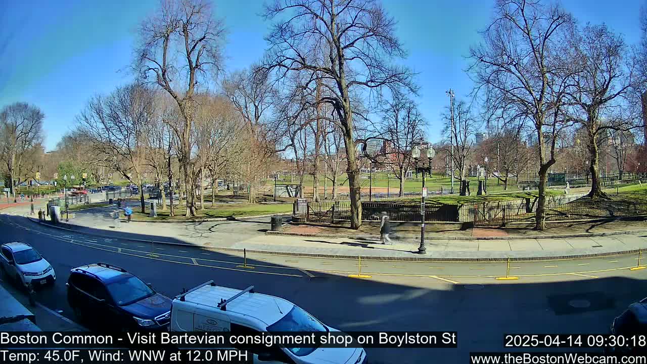 A sunny day reveals a park with bare trees, a paved road with cars and pedestrians, and a clear blue sky.