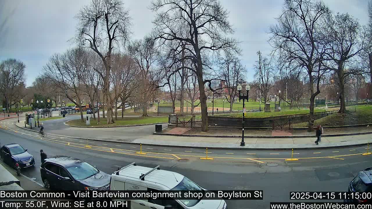 A partly cloudy day reveals a street scene with a park across the road, featuring bare trees and a few pedestrians.