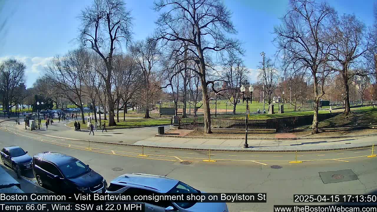 A sunny day in a park with bare trees, people walking on paths, and cars parked along a street.