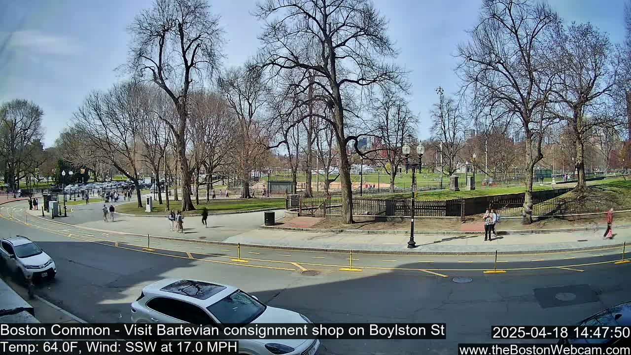 A sunny day in a city park, with bare trees and pedestrians walking on paths and roadways, and cars parked and driving.
