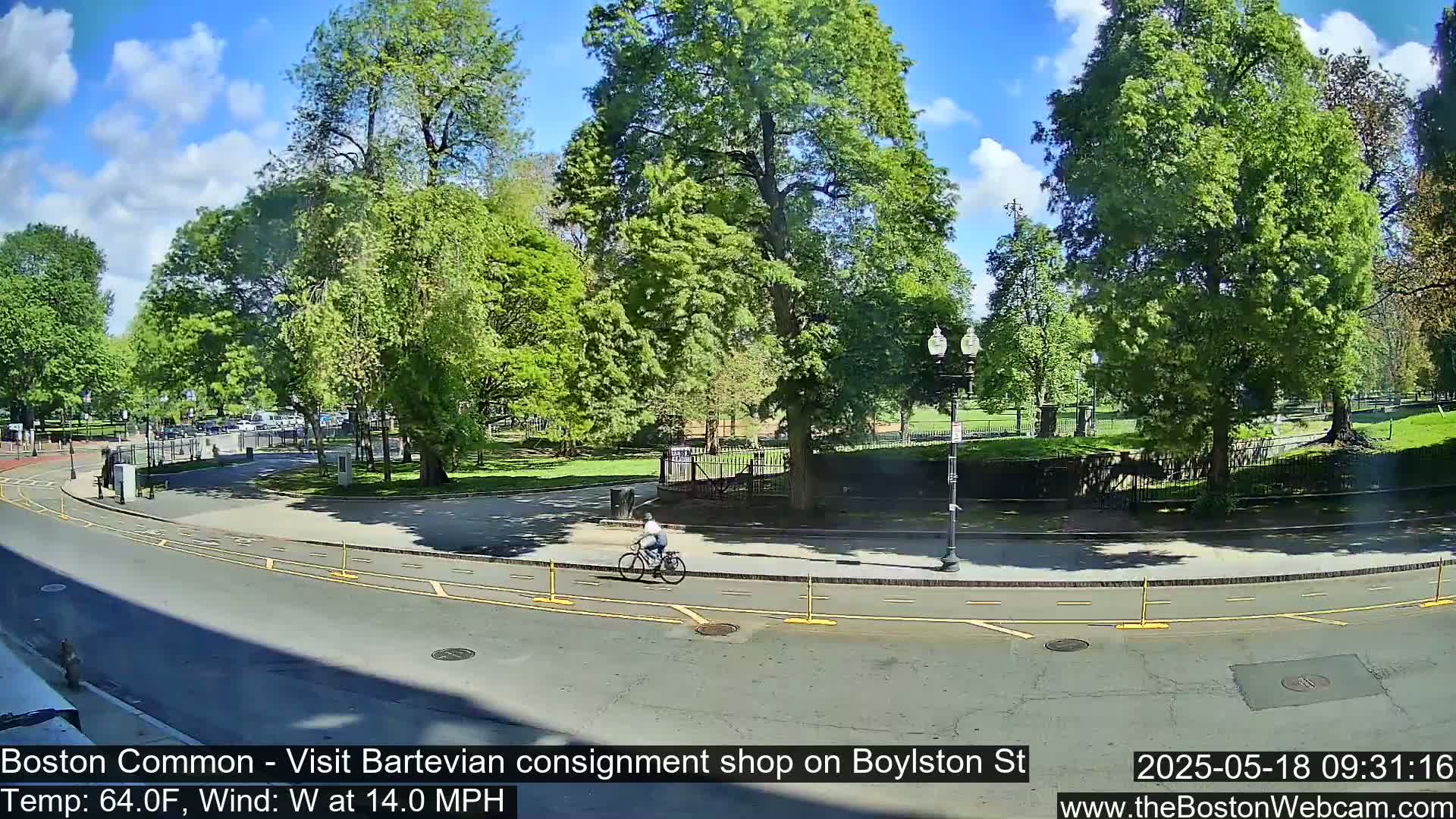 A sunny day with a westerly wind shows a person biking through a park with lush green trees and a paved road curving around it.