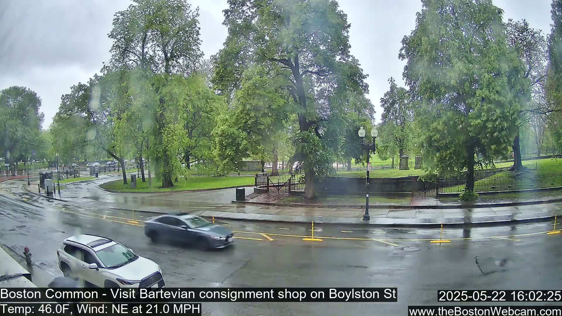 A wet street curves past a park with lush green trees under a cloudy sky, and two cars are visible driving on the road.