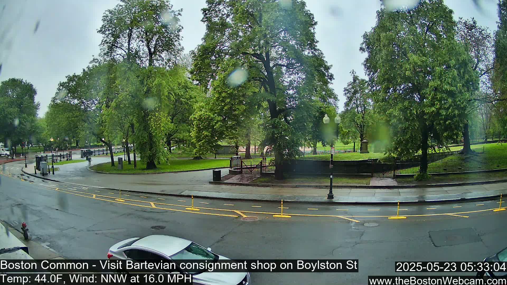 A rainy view of a park with lush green trees and a wet street, a car partially visible in the foreground.