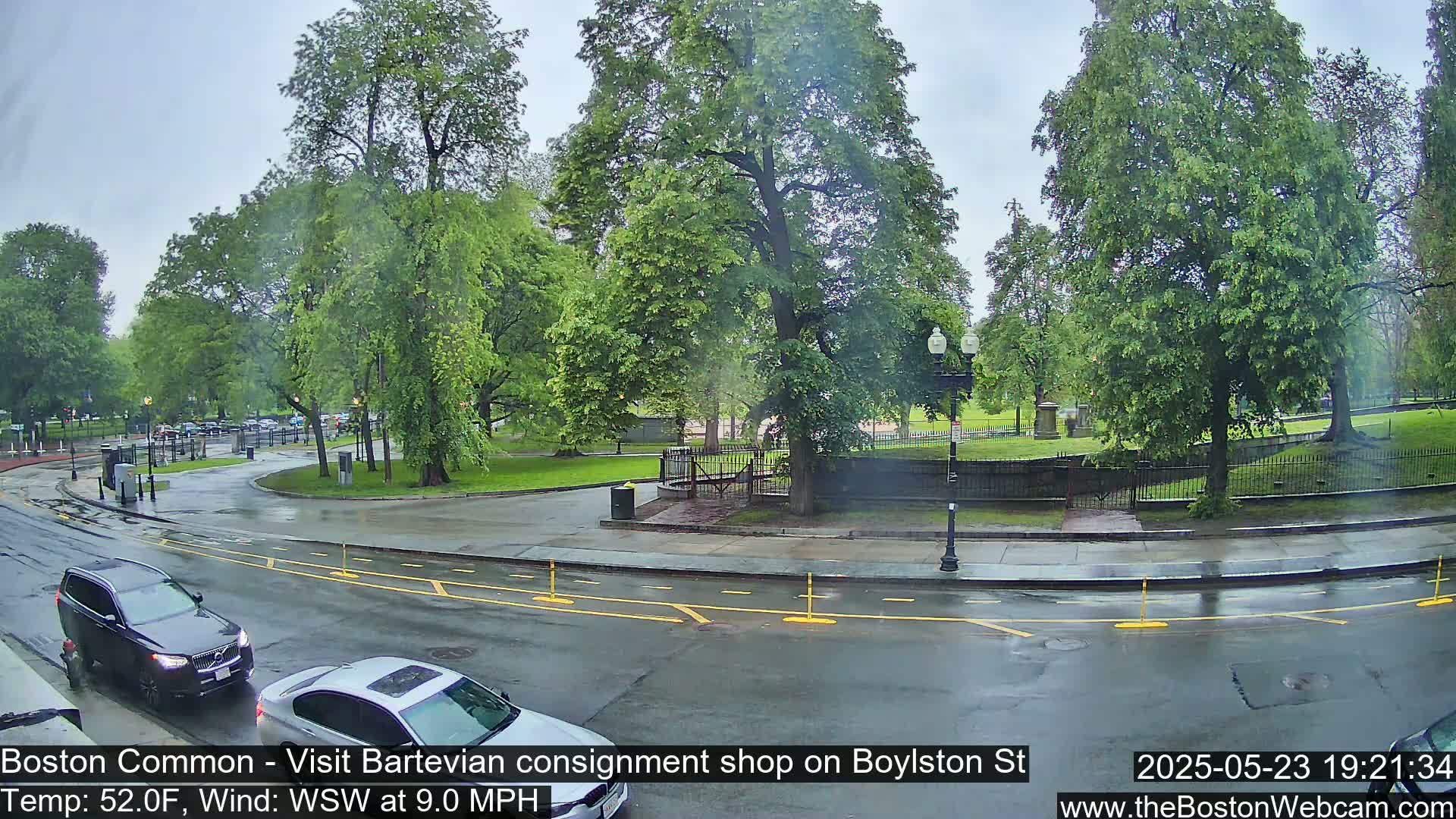 A wet, overcast street scene shows two cars and a park with lush green trees.
