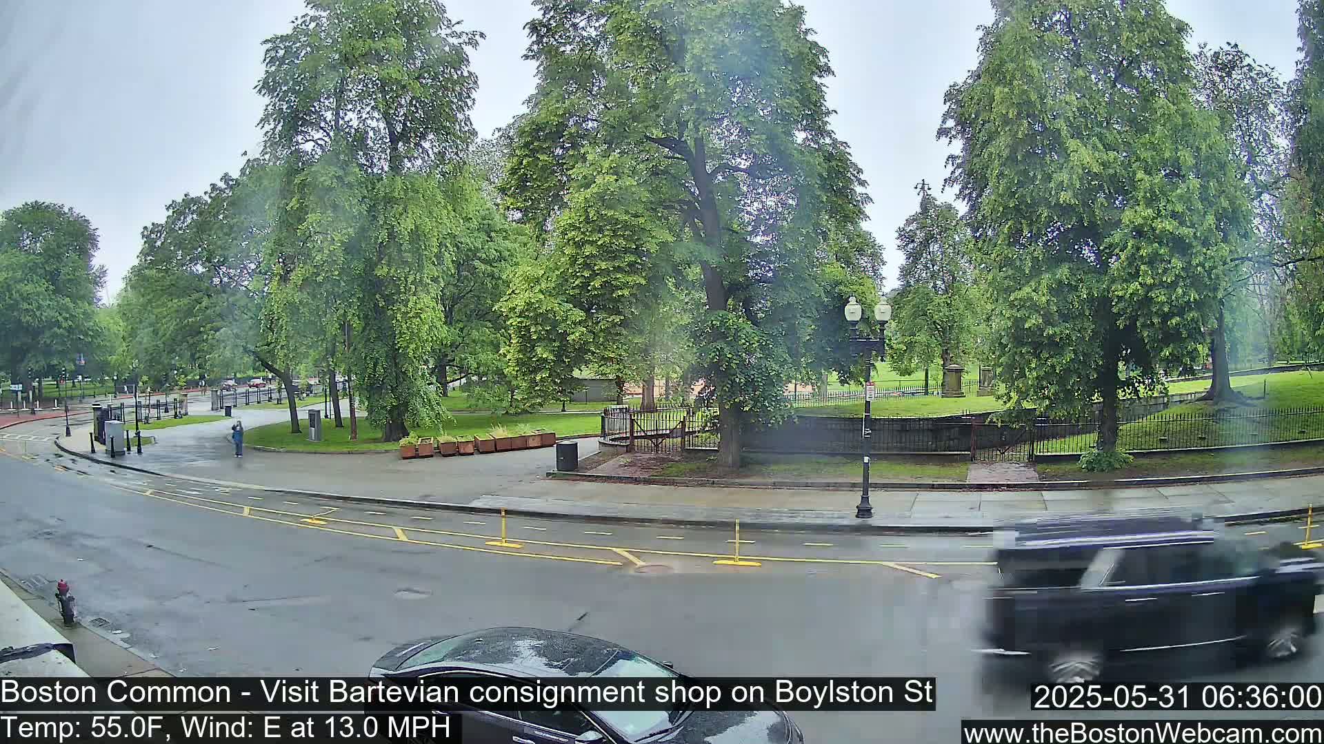 A rainy view of a park and street, with lush green trees and a dark-colored car driving by.