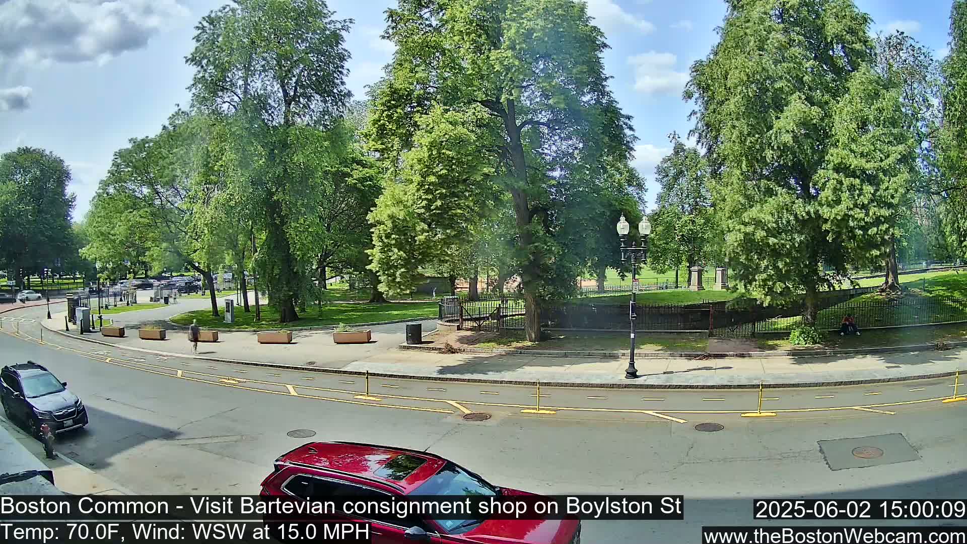 A sunny day shows a park with green trees and grass, a street with cars, and a person walking.