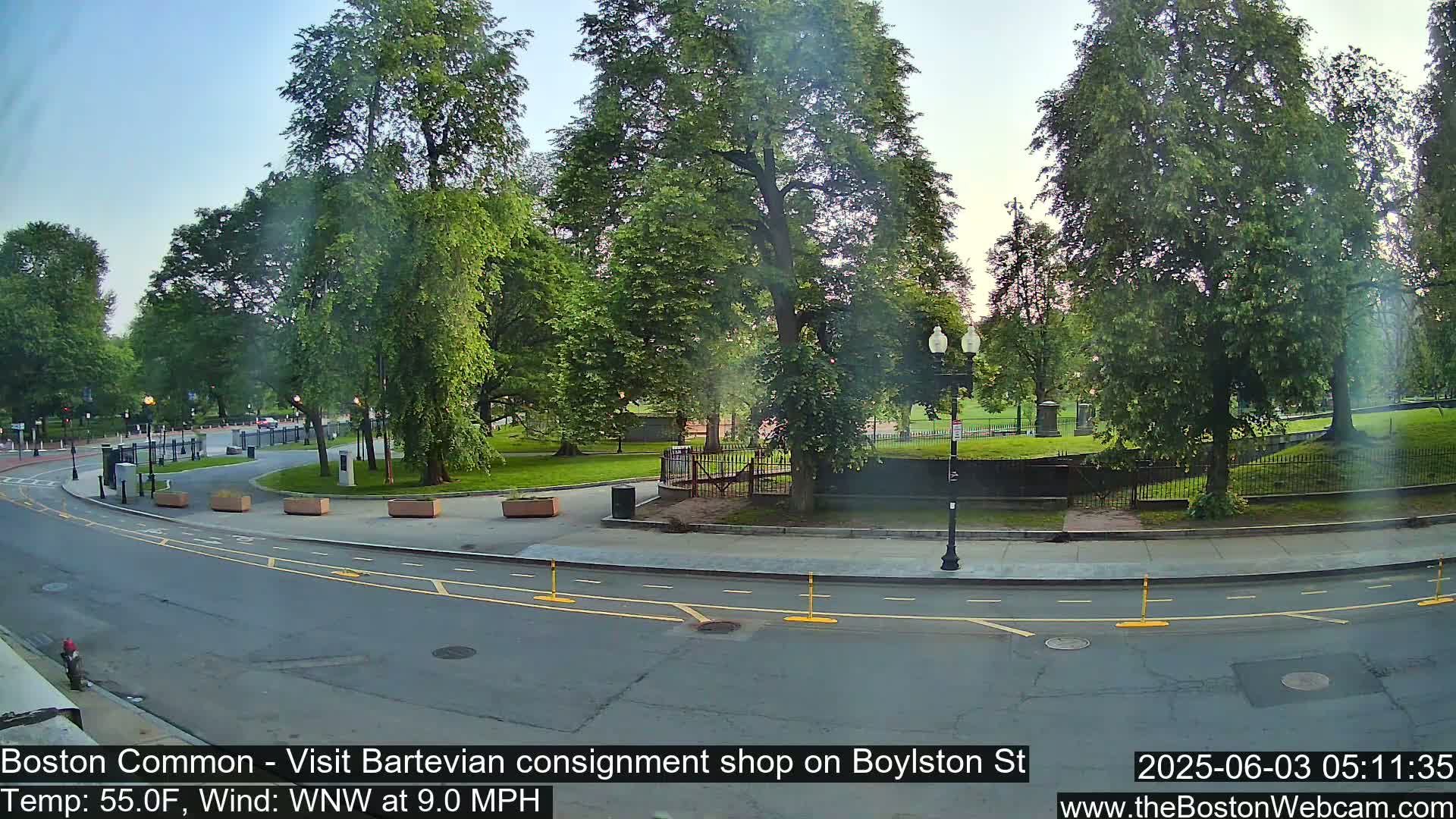 A paved road curves through a park with lush green trees under a clear, light-blue sky.