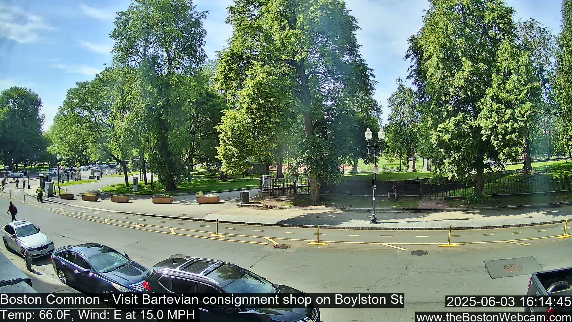 A sunny street scene shows a park with lush green trees, a paved road with parked cars, and a few pedestrians.