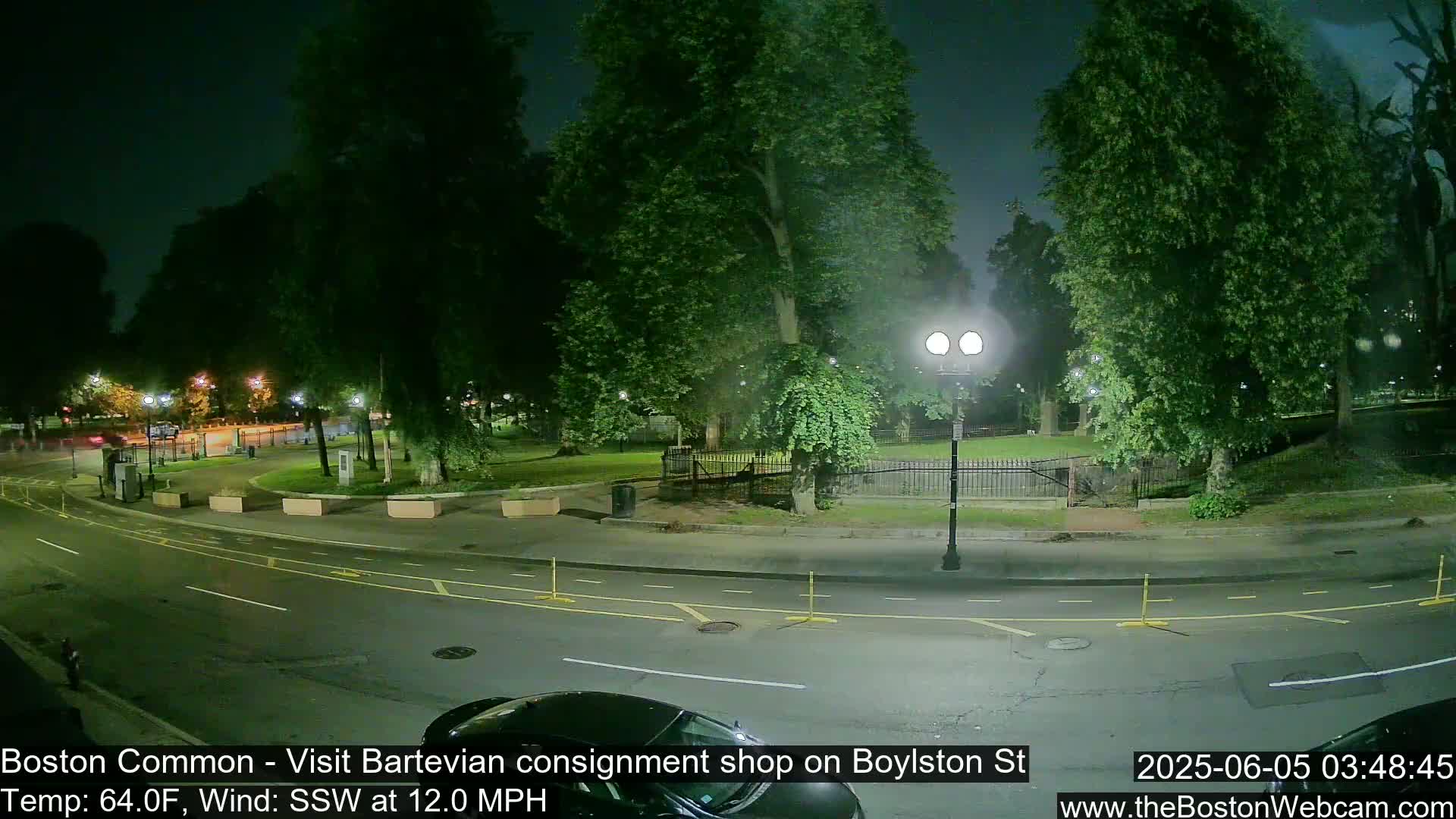 A nighttime view of a park and street, with lush green trees, streetlights, and a car partially visible in the foreground, under a clear, dark sky and a south-southwesterly wind of 12 mph.