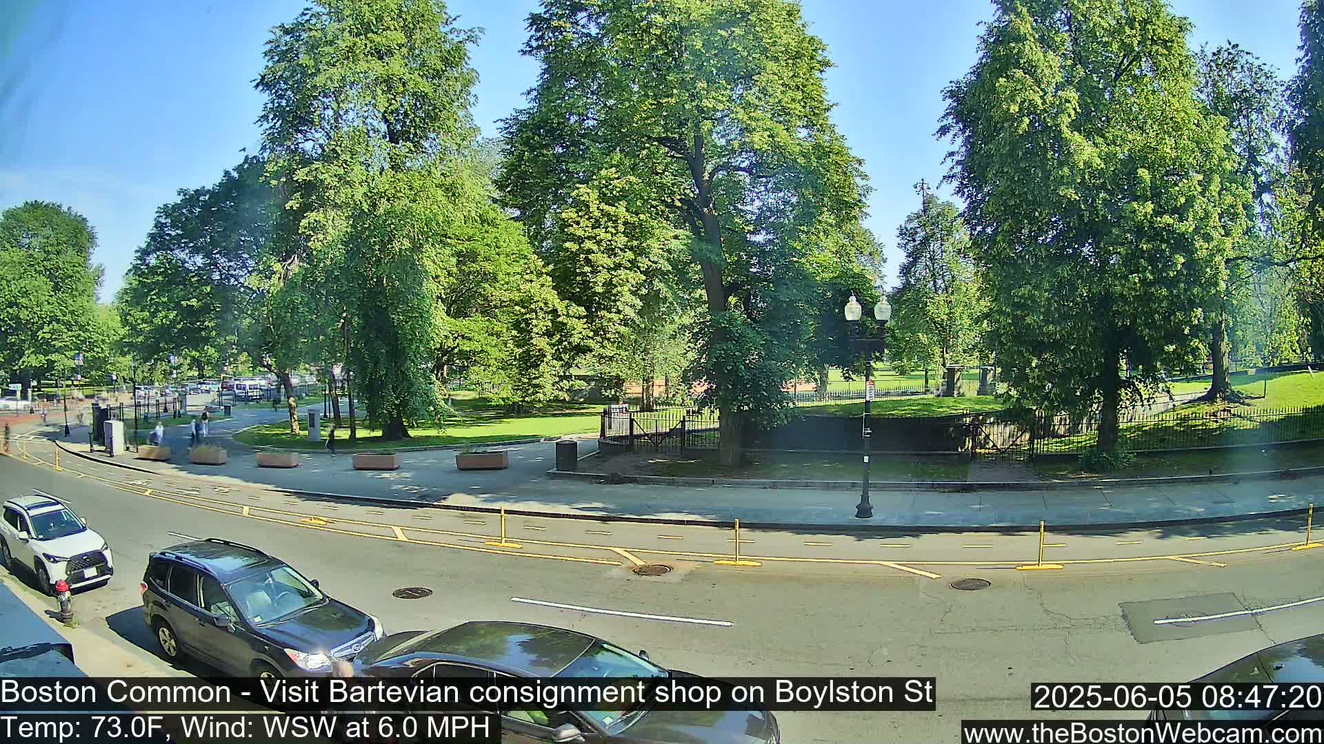A sunny day shows a park with lush green trees and a street with cars parked along the curb.