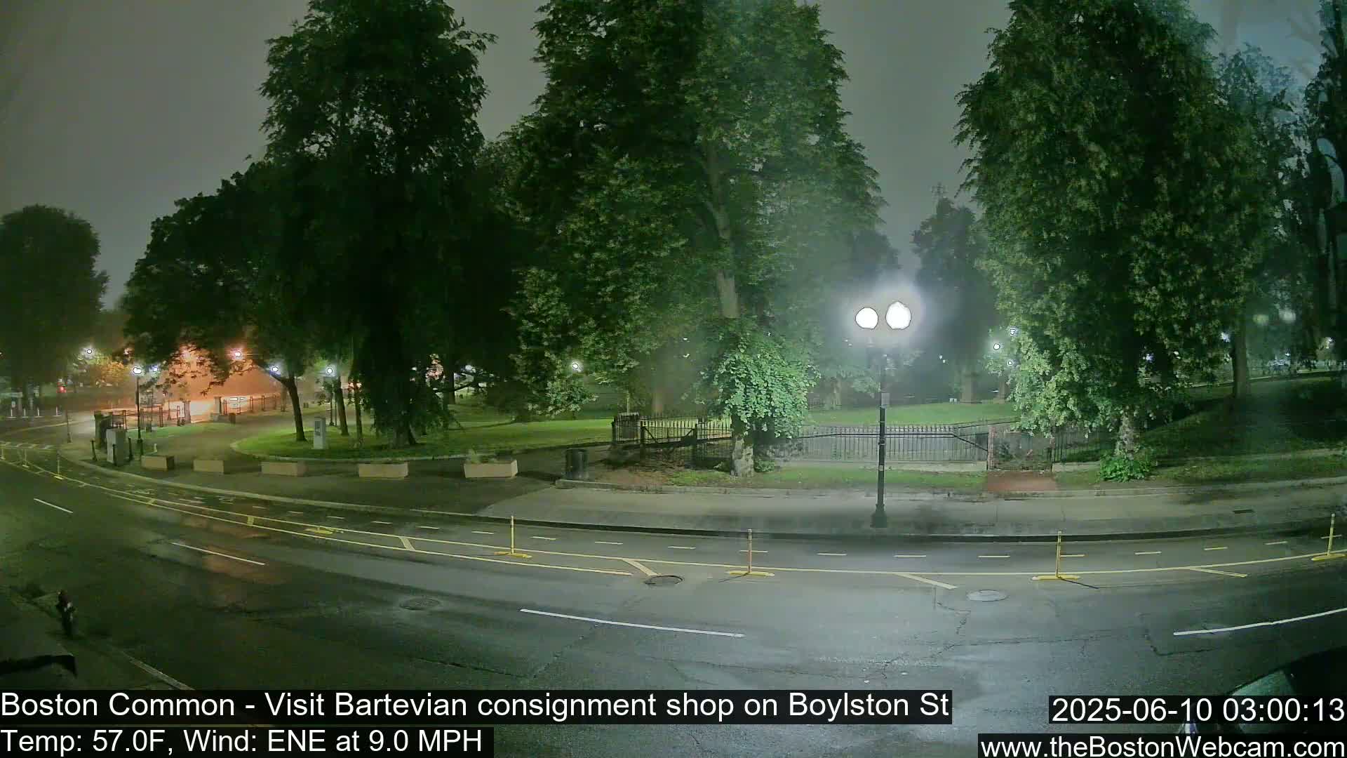 A nighttime view of a park bordering a street, with a misty atmosphere and streetlights illuminating the scene.