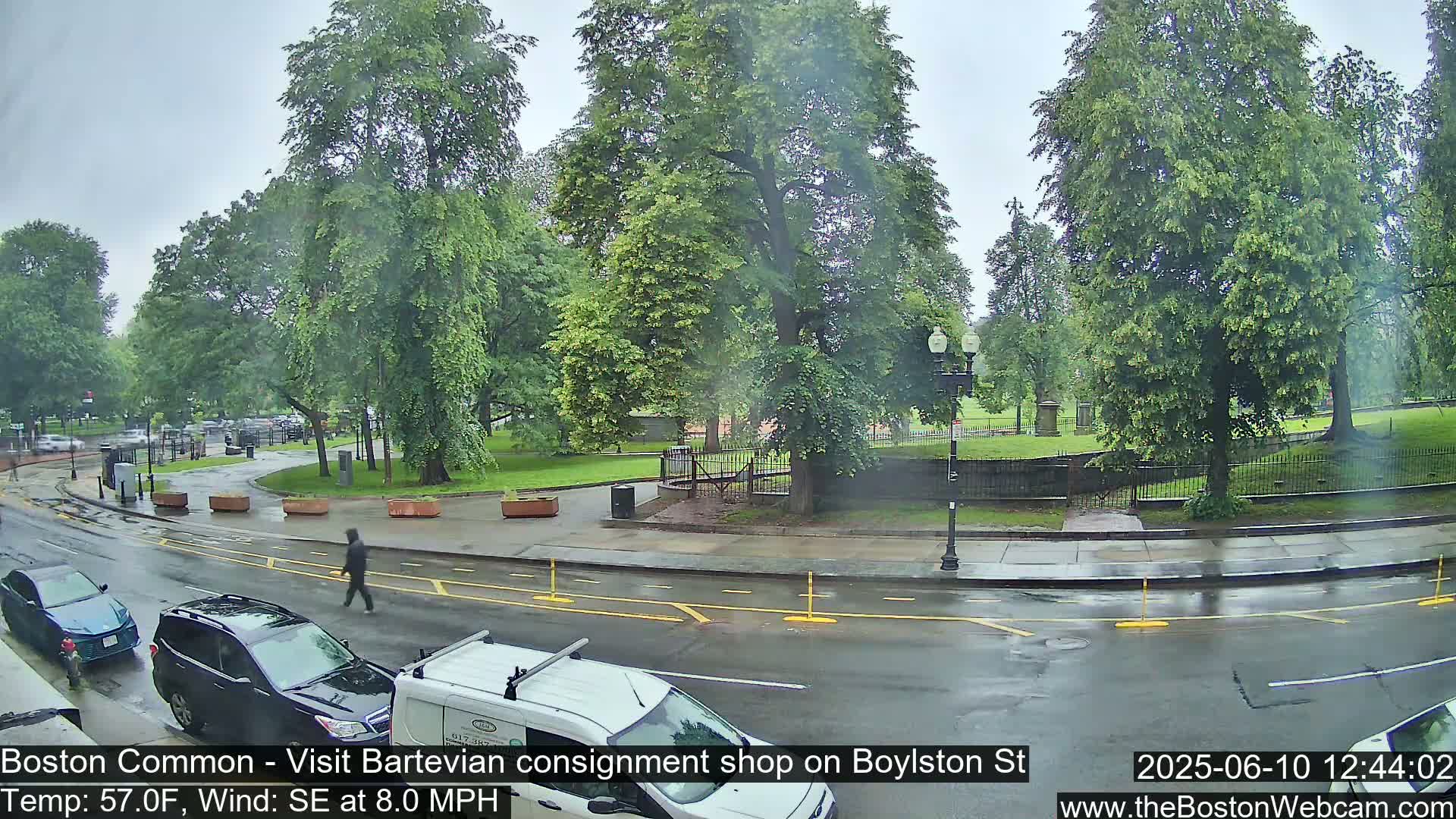 A wet street scene shows a park with lush green trees, several cars, and a pedestrian on a rainy day.
