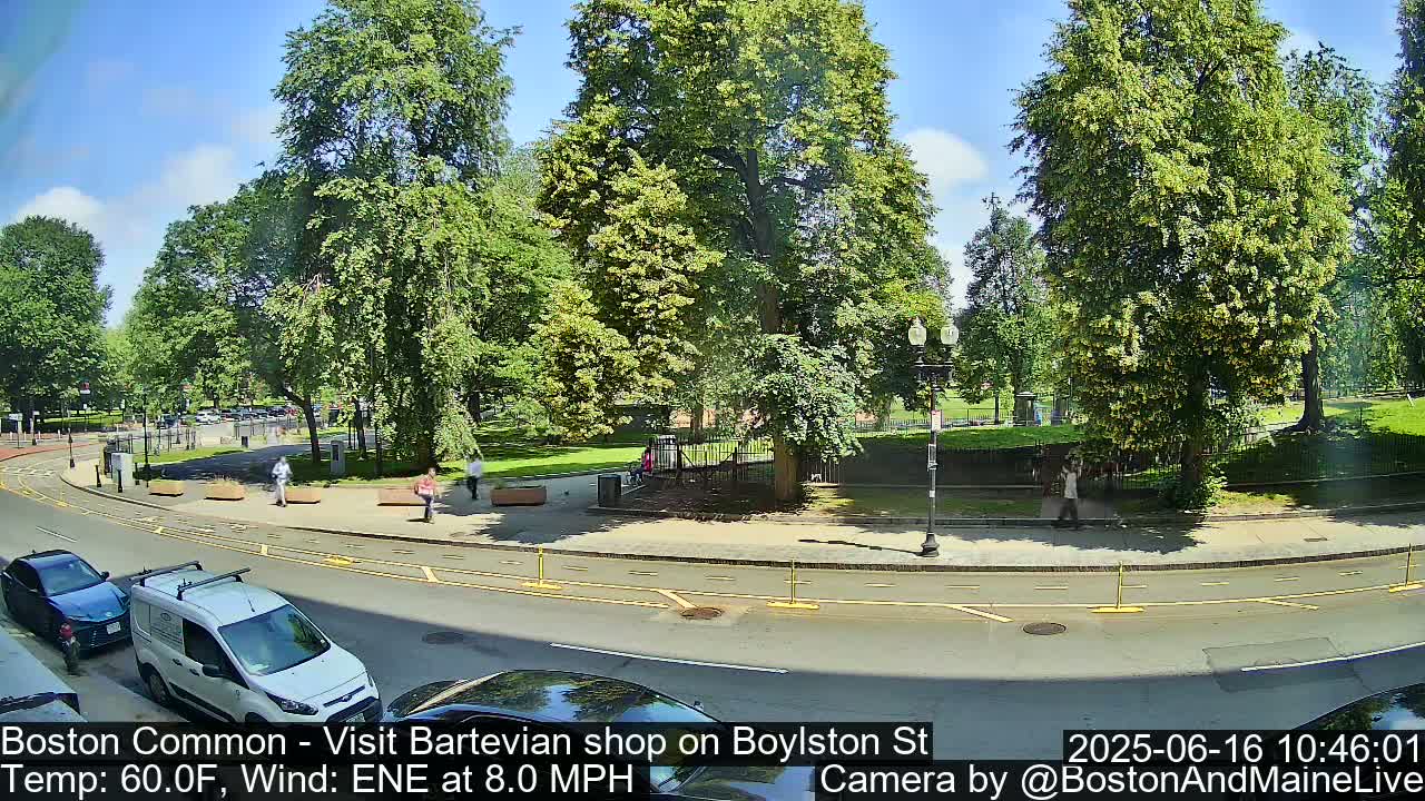A sunny day with an 8 mph east-northeast wind shows a park with lush green trees and a few pedestrians near a roadway with parked cars.