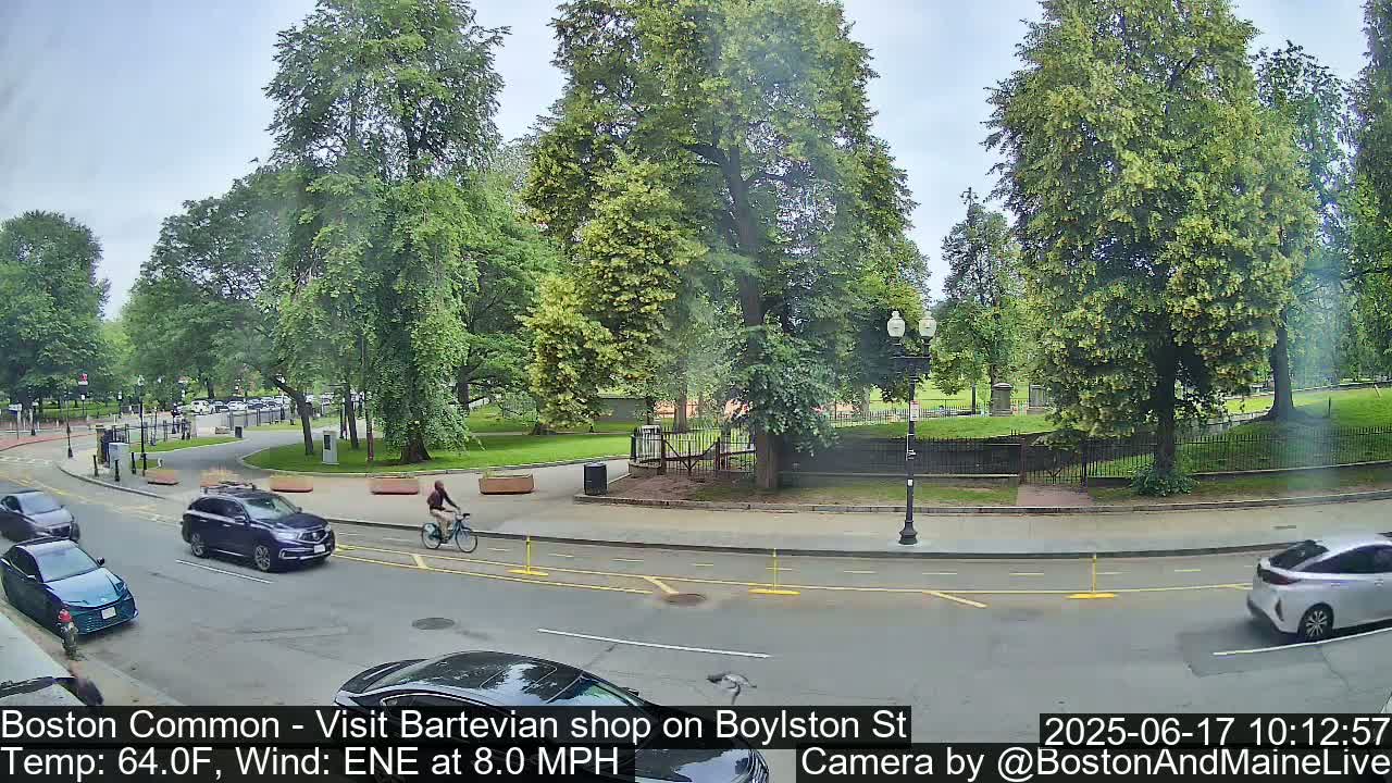A street scene shows cars driving past a park with lush green trees under a partly cloudy sky.