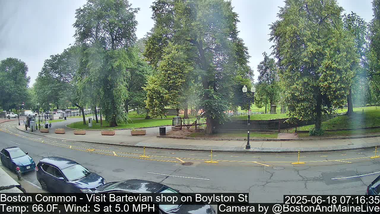 A city street with parked cars and a park with lush green trees under an overcast sky.