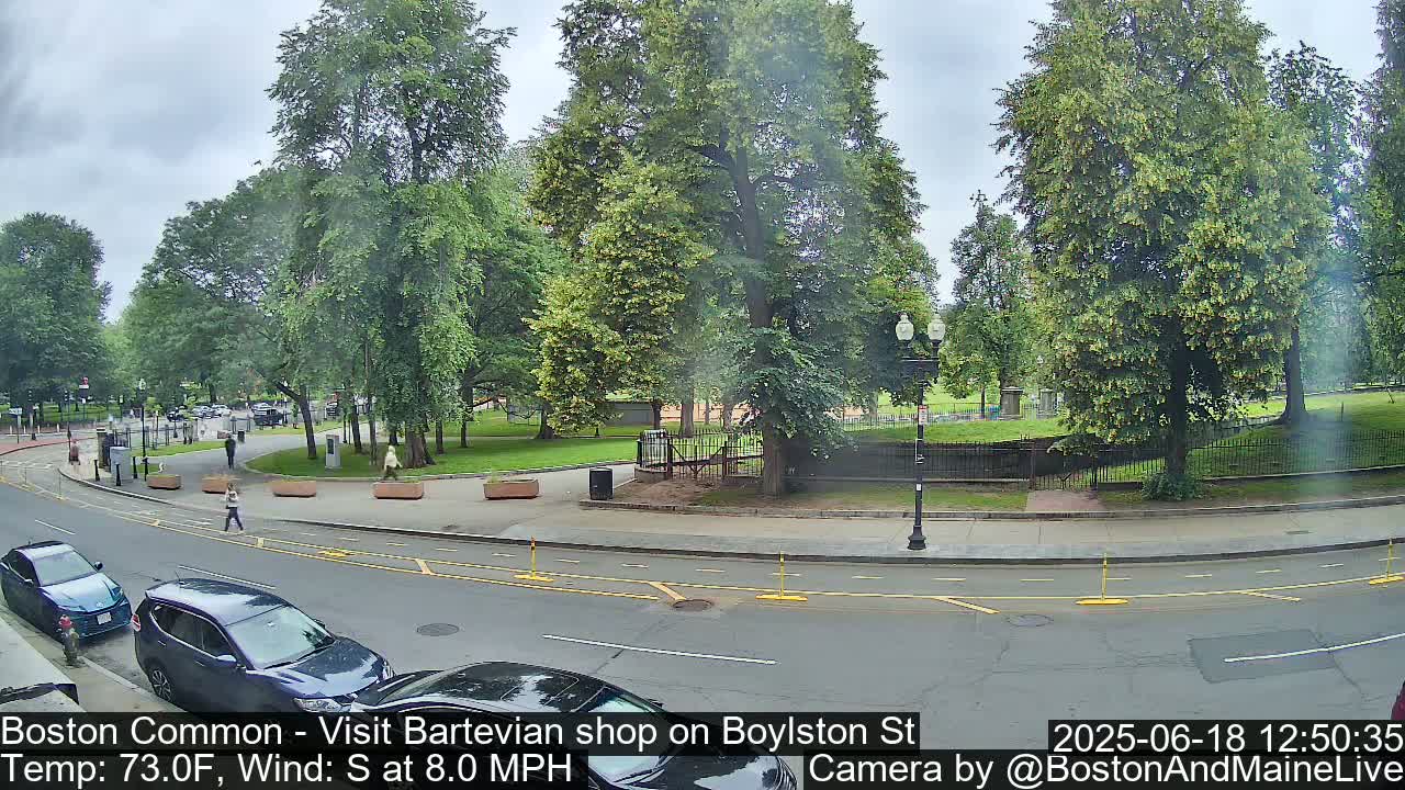 A partly cloudy day shows a city street scene with parked cars and pedestrians near a green park with many trees.