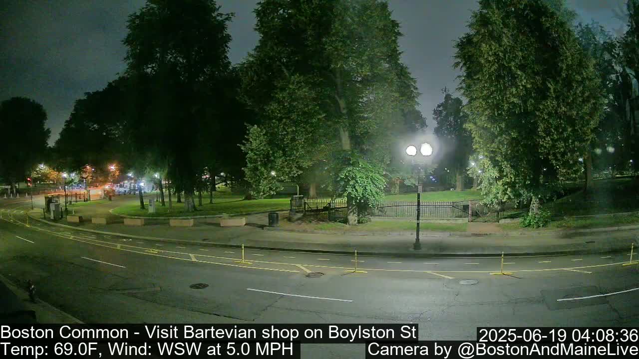 A nighttime view of a park with a road curving through it, under a dark, overcast sky.