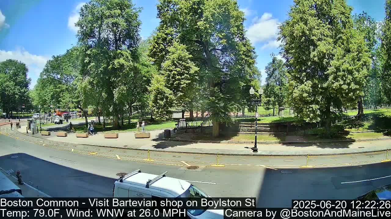 A sunny day shows a city street scene with a park across the street, numerous lush green trees, and a white van partially visible in the foreground.