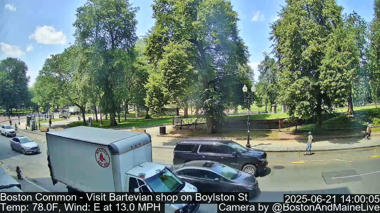 A sunny day shows a city street with cars and a truck driving past a park filled with lush green trees.