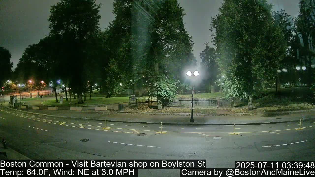 A nighttime view of a park bordered by a road with a streetlight, under a cloudy sky.
