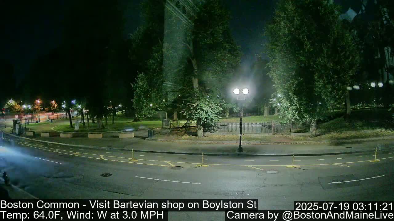 A nighttime view of a park and roadway, with a streetlight illuminating the scene under calm, clear conditions.