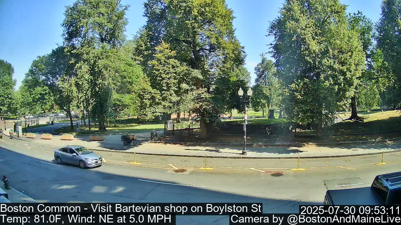 Boston Common at Boylston St.  Live Cam  - Boston , Massachusetts, USA