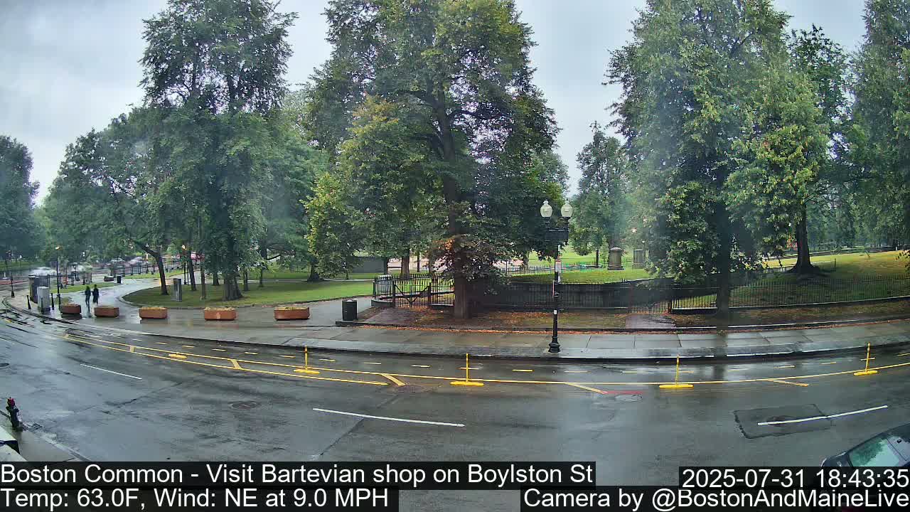 A wet street curves past a park with lush green trees under a cloudy sky.