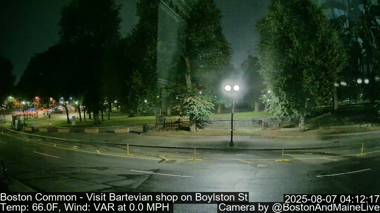 A nighttime view of a park and roadway shows dark green trees, a lamppost, and a paved area with yellow lines.