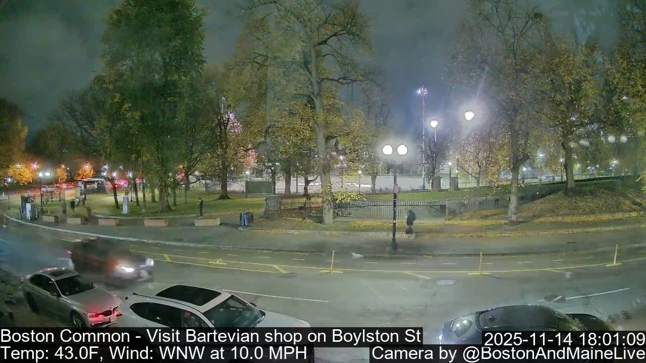 A dark, cool evening view captures a tree-lined city park, still holding autumn leaves, bordering a street with cars and pedestrians under the glow of numerous streetlights.