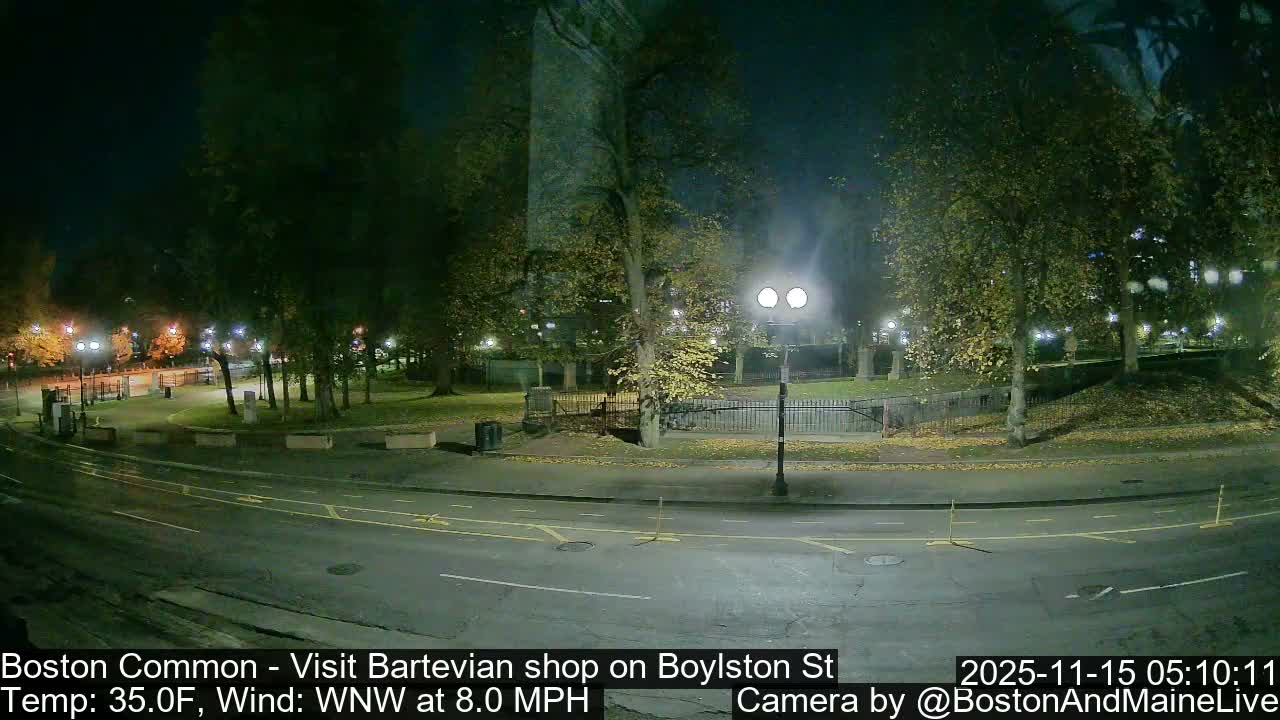 A clear nighttime view captures a quiet park with autumn trees and a road in the foreground, illuminated by several streetlights.