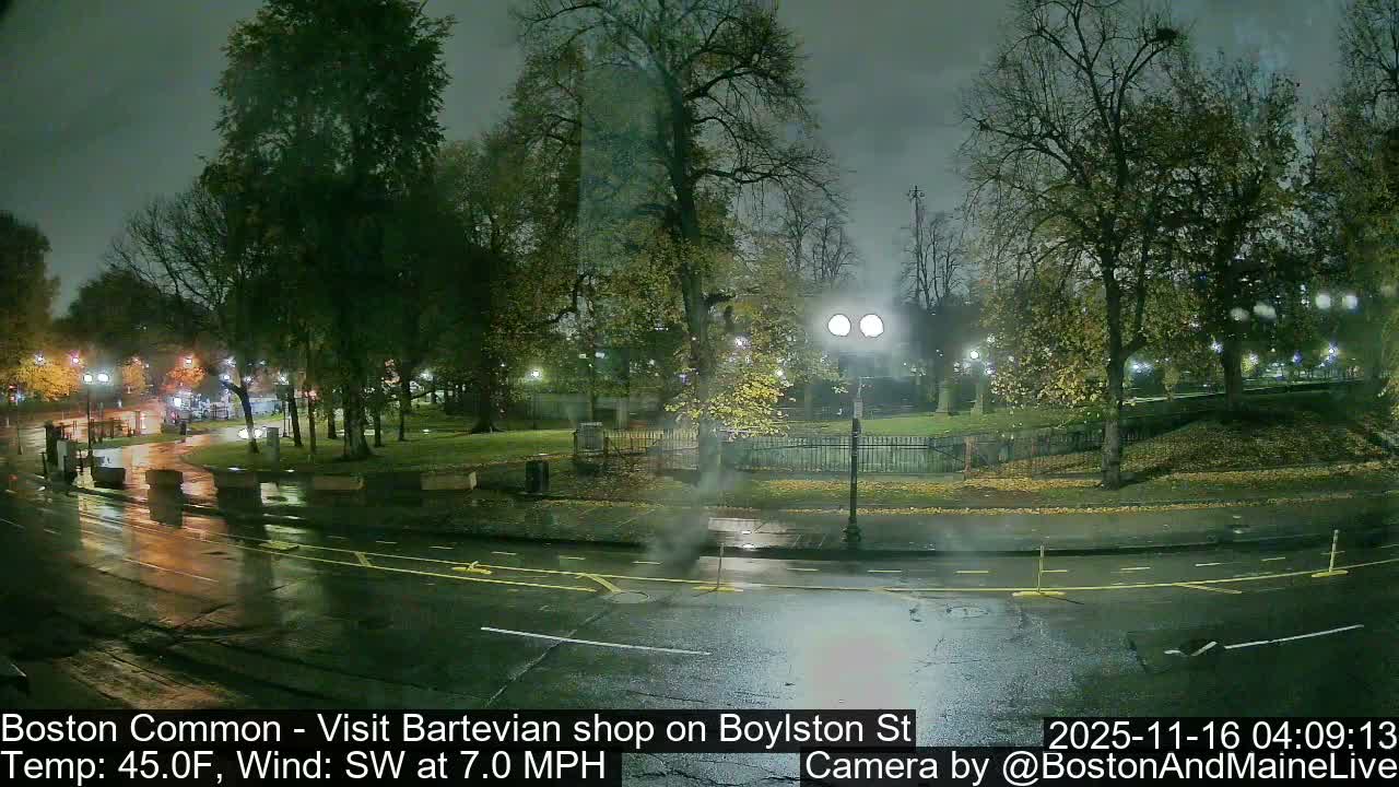 A wet city street reflects the glow of streetlights illuminating a misty urban park with autumn trees at night.