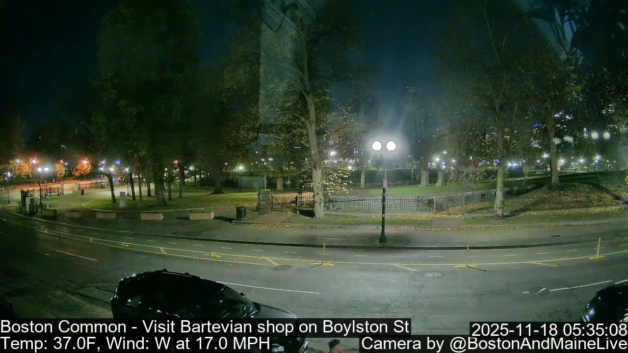 A wet city street reflects the glow of streetlights illuminating a misty urban park with autumn trees at night.