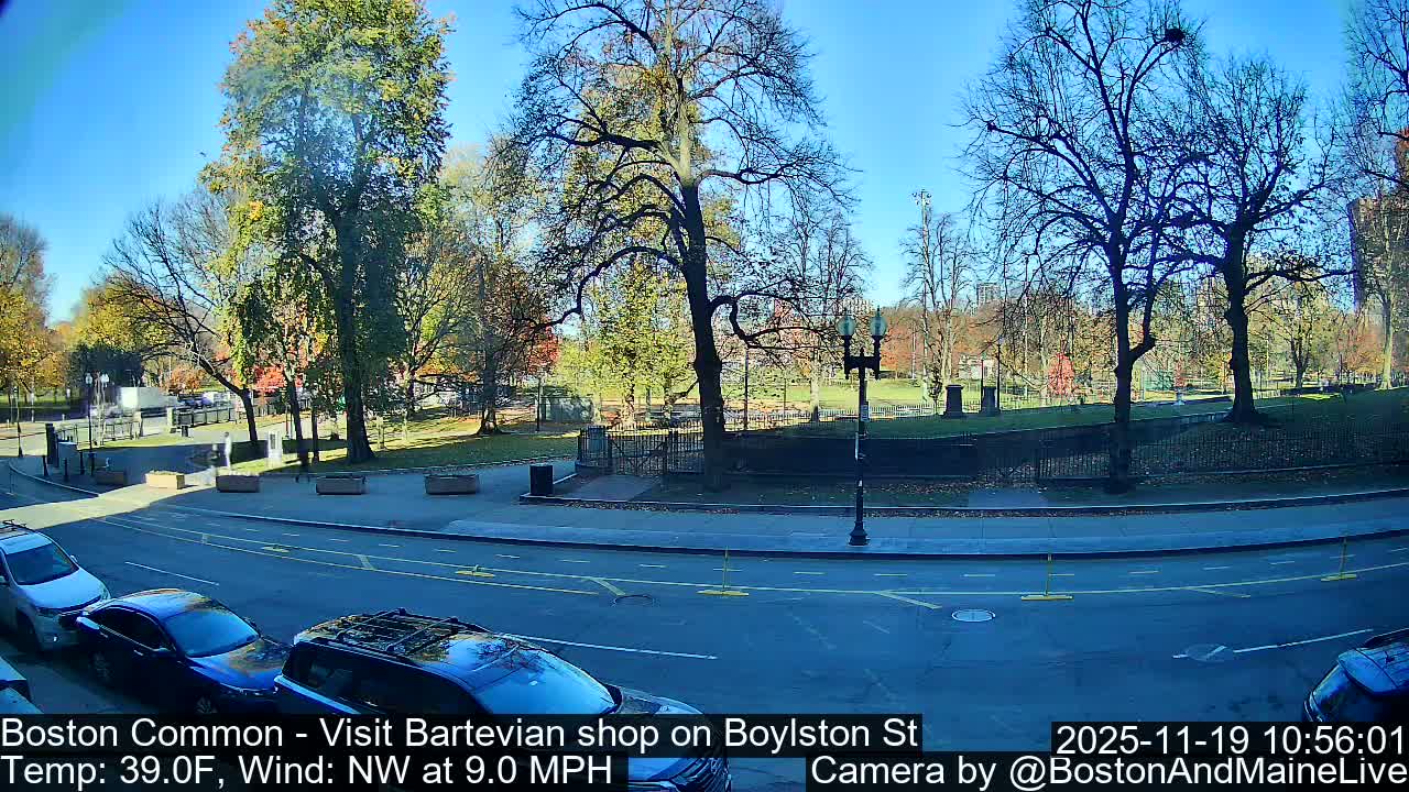 Boston Common at Boylston St.  Live Cam  - Boston , Massachusetts, USA